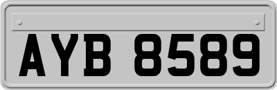 AYB8589