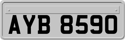 AYB8590