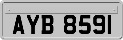 AYB8591