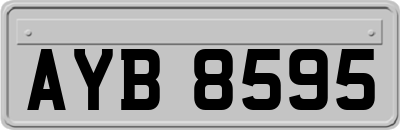 AYB8595
