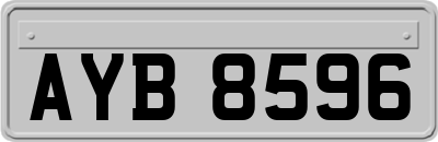 AYB8596