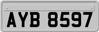 AYB8597