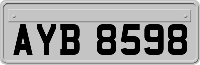AYB8598