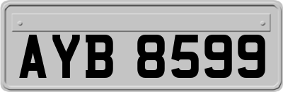 AYB8599