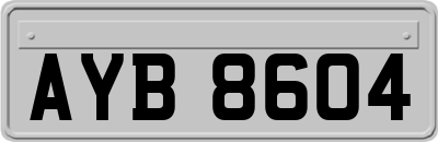 AYB8604