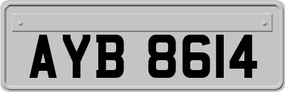AYB8614