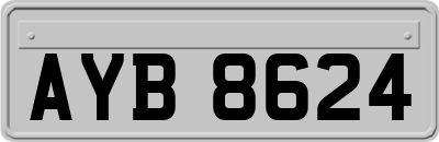 AYB8624