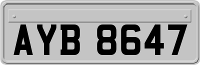 AYB8647