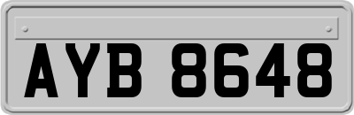AYB8648