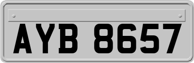 AYB8657