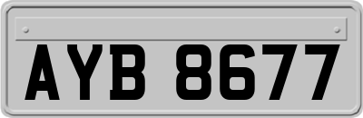 AYB8677