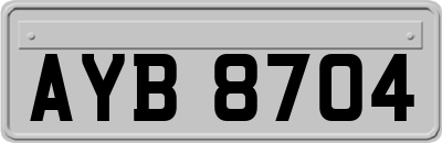 AYB8704