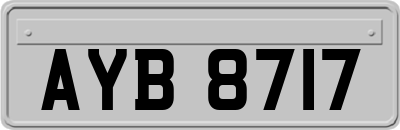 AYB8717