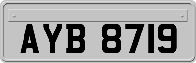 AYB8719