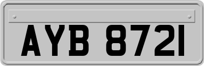 AYB8721