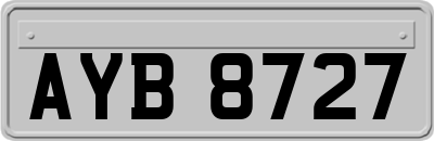 AYB8727