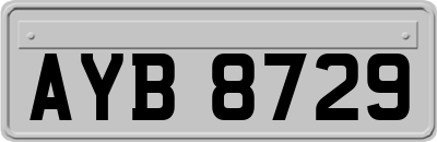 AYB8729