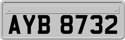 AYB8732