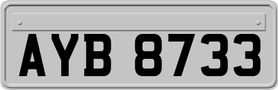 AYB8733