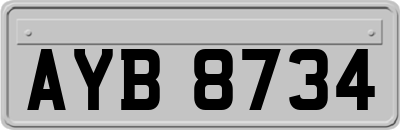 AYB8734