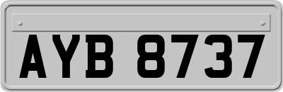 AYB8737