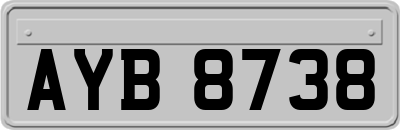 AYB8738