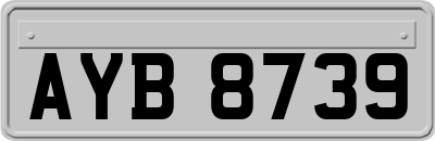 AYB8739