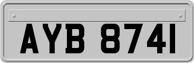 AYB8741