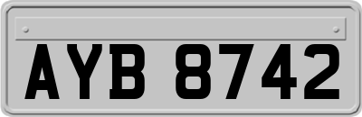 AYB8742