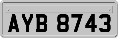 AYB8743