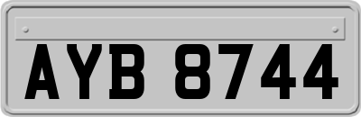 AYB8744