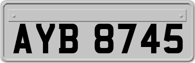 AYB8745