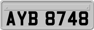 AYB8748