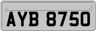 AYB8750