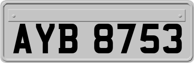 AYB8753