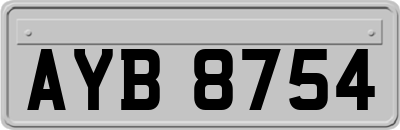 AYB8754
