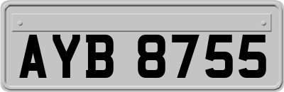 AYB8755