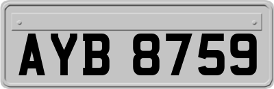 AYB8759