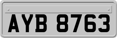 AYB8763