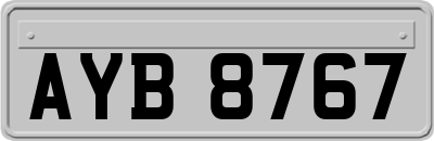 AYB8767