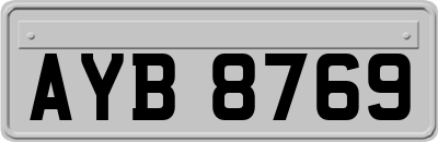AYB8769