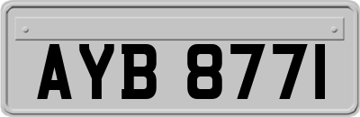 AYB8771