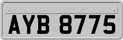 AYB8775