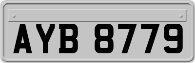 AYB8779