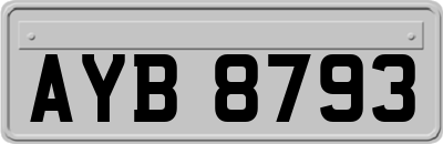 AYB8793