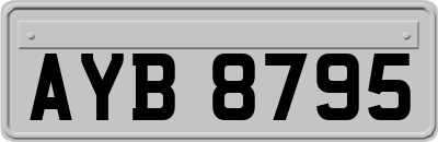 AYB8795