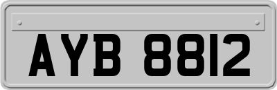 AYB8812