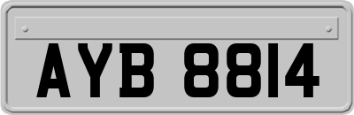 AYB8814