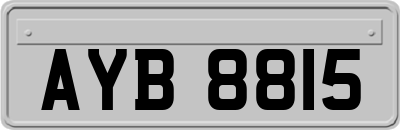 AYB8815