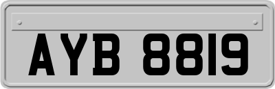 AYB8819